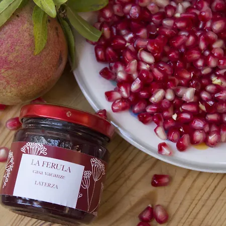 Σπίτι διακοπών La Ferula