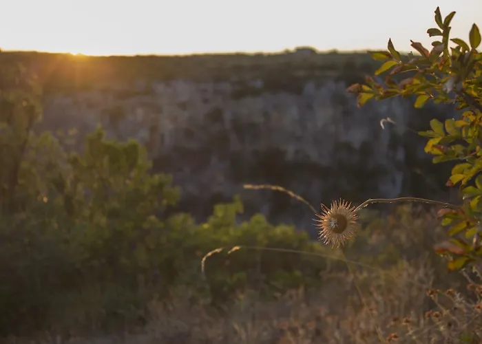 Casa vacanze La Ferula